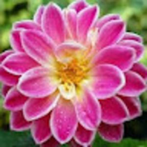 Meet your Posher, Edith